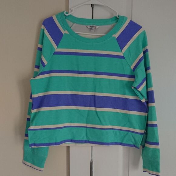 WILDFOX Blue Stripe Sweatshirt size S - Picture 1 of 12